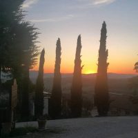 Walking & Biking Tours