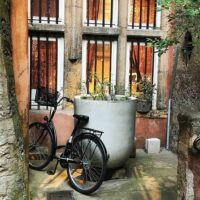 Cultural & Theme Tours
