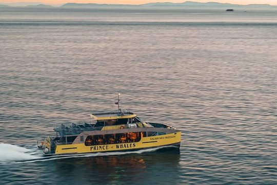 Sunset Whale Watching Adventure from Victoria
