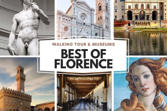Small Group Guided Uffizi Museum+ Accademia Museum + Walking Tour -Skip-the-line