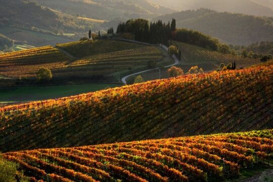 Small-Group Chianti and San Gimignano Sunset Trip from Siena