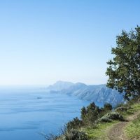 Hiking & Camping