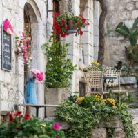 Shore Excursions