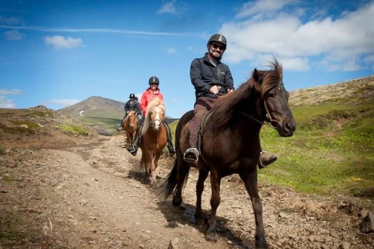 Viking Horse Riding and Golden Circle Tour from Reykjavik