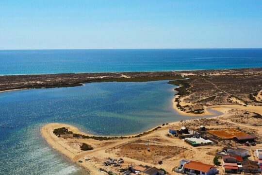 Ria Formosa: 3 hour tour with stops at Ilha da Culatra and Ilha da Armona