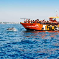 Shore Excursions
