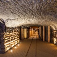 Half-day Tours