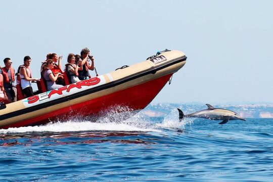 Dolphin-Watching in Marina de Lagos