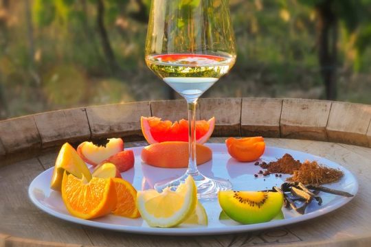 Wine Tour with Wine Tasting in Siena