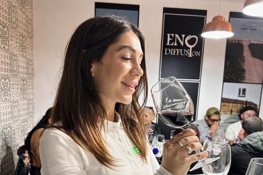 Toledo Tour with Tapas, Wine Tasting and Optional 7 Monuments Access