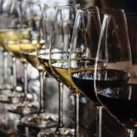 Food, Wine & Nightlife