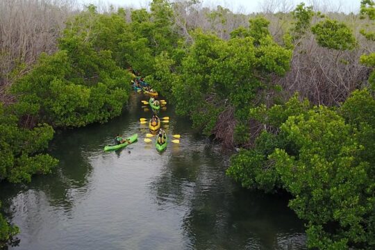 Bio Bay Kayak Tour in Puerto Rico