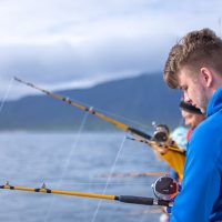 Cruises, Sailing & Water Tours