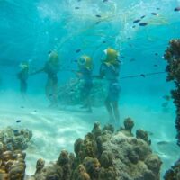 Shore Excursions