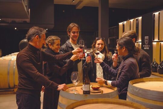 Wine, Tapas & Cava Private Tour from Barcelona