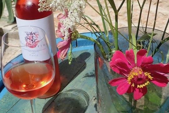 Hvar Wine and Olive oil Tasting Small Group Tour