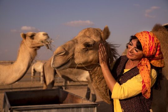 Overnight Camel Caravan with BBQ Dinner and Arabic Breakfast