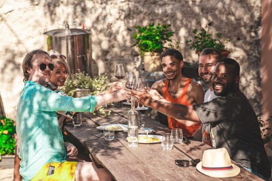 Krka Waterfalls, Food & Wine Tasting tour from Split