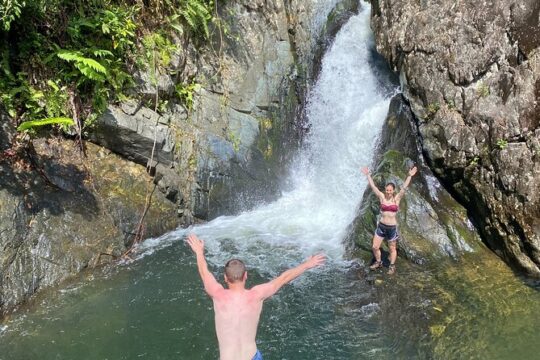 Puerto Rico Guided Adventure in El Yunque Rainforest