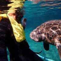 Cultural & Theme Tours