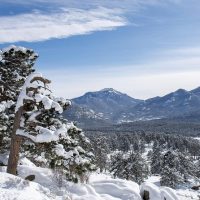 Sightseeing Tickets & Passes