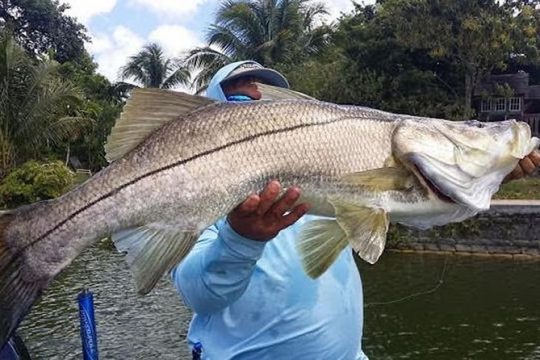 Homosassa Inshore Fishing Charters