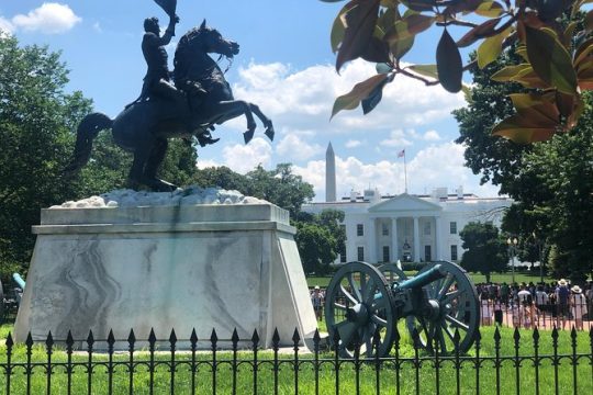 Day Tour: Private Luxury Tour of Washington DC