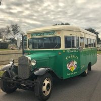 Bus & Minivan Tours