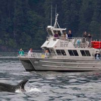 Cruises, Sailing & Water Tours