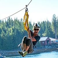 Bus & Minivan Tours