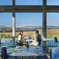 Food, Wine & Nightlife