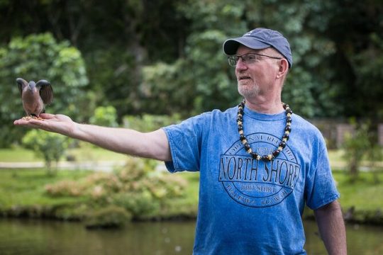 Oahu Personalized Private Tour