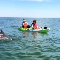 Cruises, Sailing & Water Tours