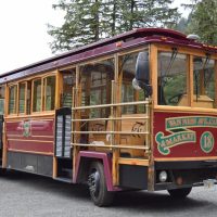 City Tours