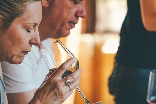 Semi-private Amarone Wine-tasting Tour from Verona