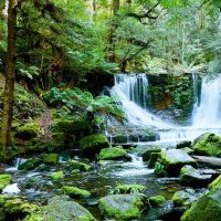 Bus & Minivan Tours