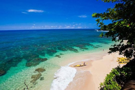 Hanalei River Paddle and Bay - Snorkel Tour