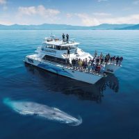 Cruises, Sailing & Water Tours