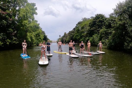 Personalized Private Tour of O'ahu