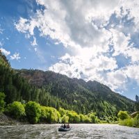 Cruises, Sailing & Water Tours