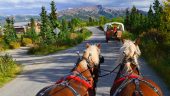 Horses are the star of the show