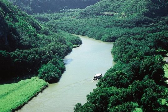 Cruise Ship Excursion: Kauai – Waialua River Cruise & Fern Grotto