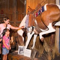 Museum Tickets & Passes