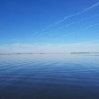 Shore Excursions