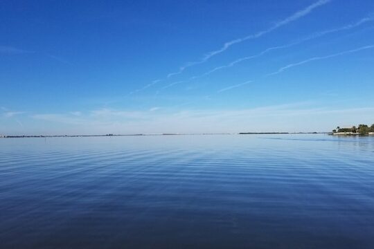 Two-hour boat tour of the Indian River Lagoon
