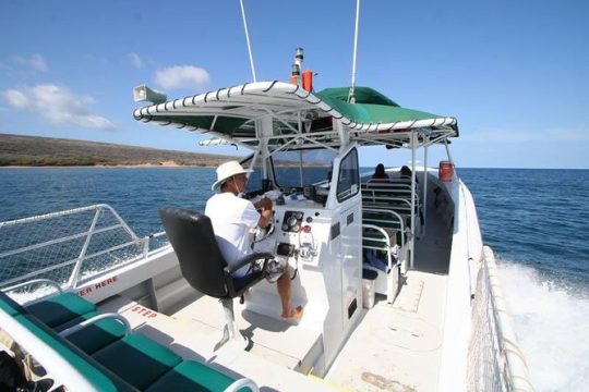 Private Snorkel Tour 3 Hrs 1 stop from Kaanapali Beach