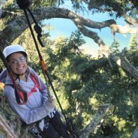 Shore Excursions