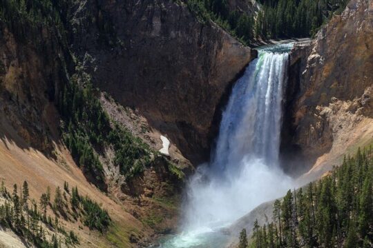 Yellowstone Nat'l Park Full Day Tour From Cody, WY