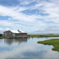 Cruises, Sailing & Water Tours
