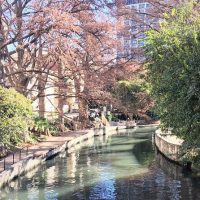 Cultural & Theme Tours